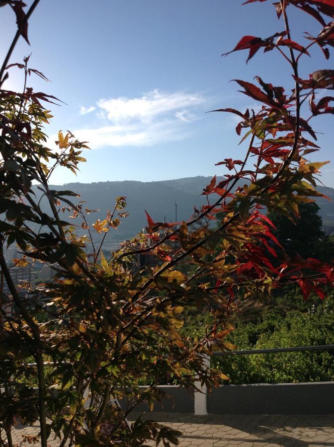 Douro Vally Inn Peso da Régua Exterior foto